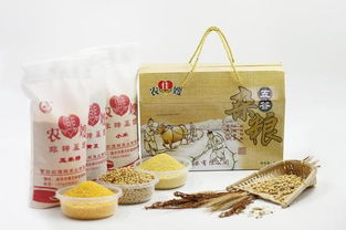 農(nóng)佳嫂 營口特產(chǎn)和文化藝術(shù)品鑒會明星產(chǎn)品